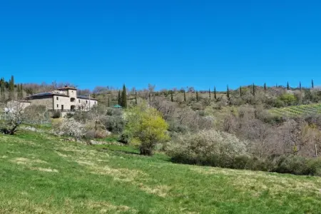 790365, Villa à Poppi avec piscine - Photo 6