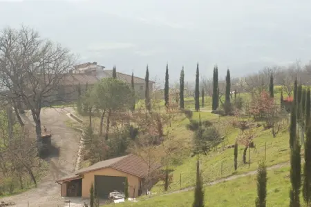 790365, Villa à Poppi avec piscine - Photo 7