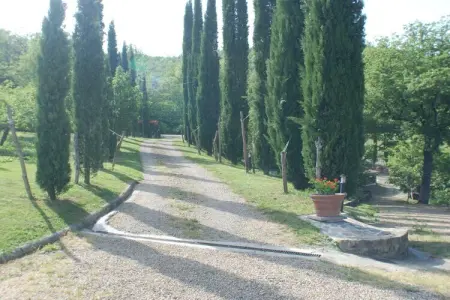 790365, Villa à Poppi avec piscine - Photo 9