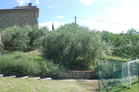 790365, Villa à Poppi avec piscine - Photo 16