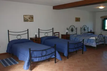 790365, Villa à Poppi avec piscine - Photo 32