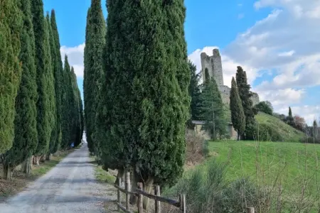 790365, Villa à Poppi avec piscine - Photo 37