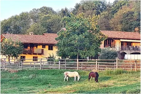633673, Maison de vacances à Somano avec piscine - Photo 1