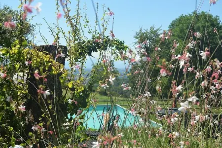 633673, Maison de vacances à Somano avec piscine - Photo 13