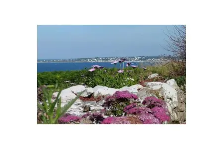 266458, Maison de vacances à Plouhinec avec parking - Photo 17