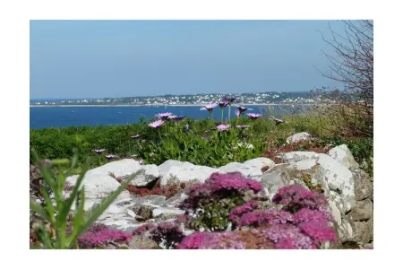 266458, Maison de vacances à Plouhinec avec parking - Photo 21