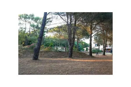 599468, 51. AG PIRAMIDE 14º - Photo 58