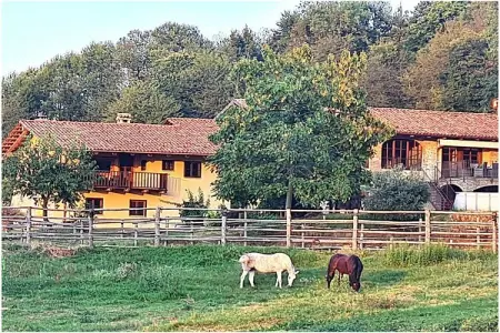633963, Maison de vacances à Somano avec piscine - Photo 1