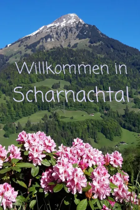 Chalet Wenger Appartement/Fewo, Dusche und Bad, WC, Balkon - Photo 3