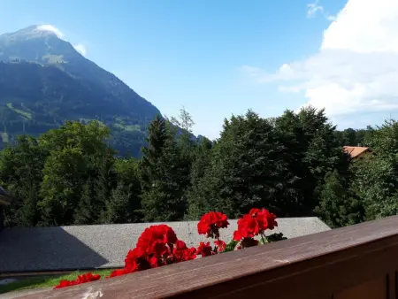 Chalet Wenger Appartement/Fewo, Dusche und Bad, WC, Balkon - Photo 5
