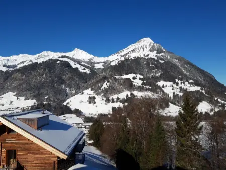 Chalet Wenger Appartement/Fewo, Dusche und Bad, WC, Balkon - Photo 13