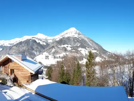 Chalet Wenger Appartement/Fewo, Dusche und Bad, WC, Balkon - Photo 14