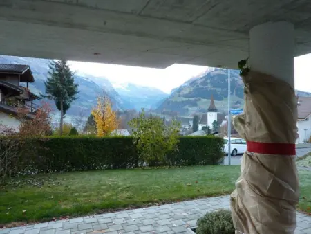 Abesunne Appartement/Fewo, Dusche, WC, 1 Schlafraum Sarbach - Erdgeschoss - Photo 9
