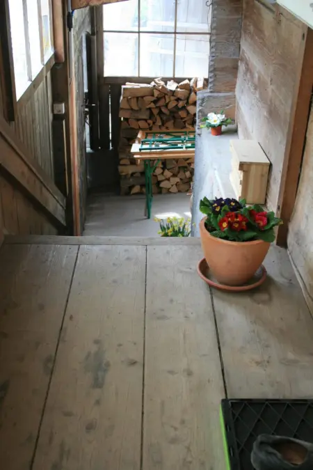 Chalet Bifigen Appartement/Fewo, Dusche, WC 2.5-Zimmerwohnung - Photo 27