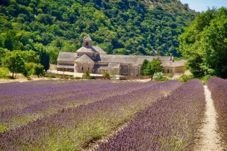 136939, La Suite maison bertuli - Photo 19