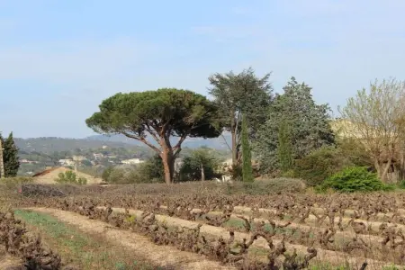 162637, Mas de Saint Pierre - Photo 31