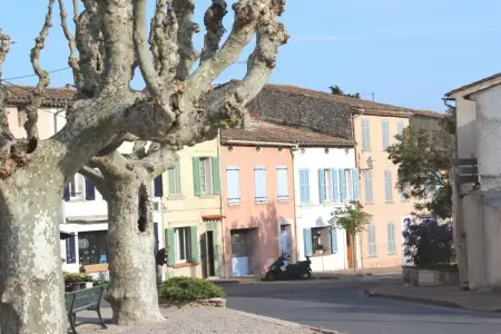 162637, Mas de Saint Pierre - Photo 34