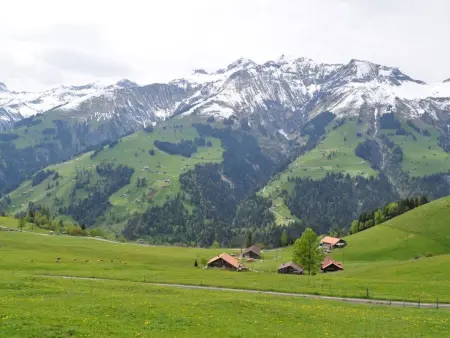 Sennhütte Gibeli Hütte, Bad, WC, 4 oder mehr Schlafräume Sennhütte - Photo 10
