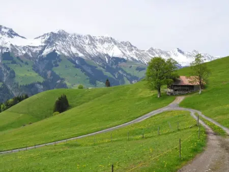 Sennhütte Gibeli Hütte, Bad, WC, 4 oder mehr Schlafräume Sennhütte - Photo 11