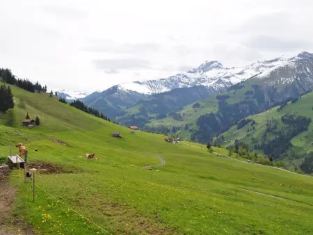 Sennhütte Gibeli Hütte, Bad, WC, 4 oder mehr Schlafräume Sennhütte - Photo 12