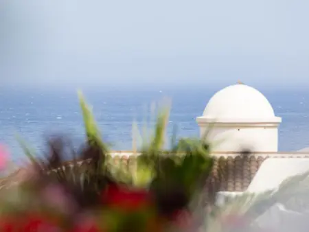 Laurisilva, Appartement 2 personnes à Puerto de la Cruz - Photo 24