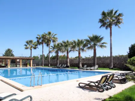 Finca Can Corritx, Gite 4 personnes à Muro - Photo 25