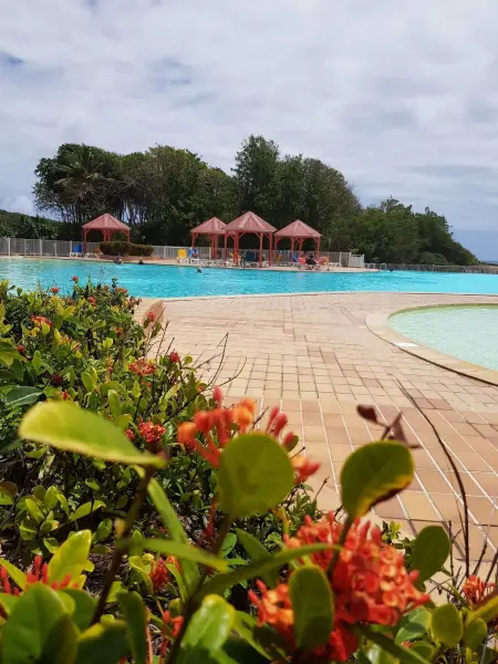 Appartement cosy Saint‑François 30 m² piscine - Photo 11