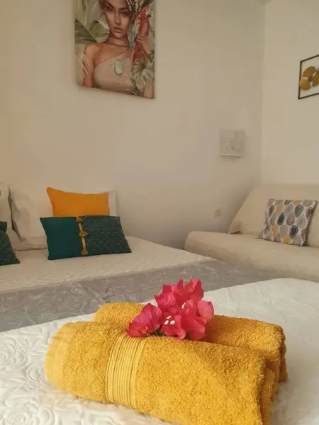 Appartement cosy Saint‑François 30 m² piscine - Photo 22
