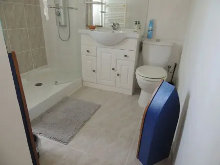 Maison confortable Saint-Sulpice-les-Feuilles 40 m² jardin - Photo 11