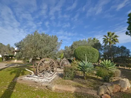 Maison 4 personnes à Sineu - Photo 12