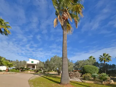 Maison 4 personnes à Sineu - Photo 13
