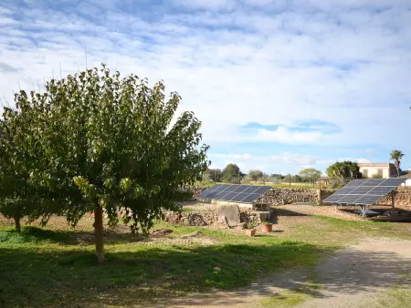 Maison 4 personnes à Sineu - Photo 45