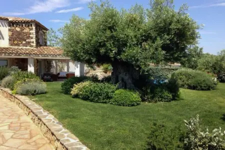 258902, Villa à Castiadas avec piscine - Photo 2