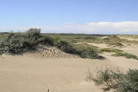 18909, Parc de vacances Dune House à Duinendaele - Photo 17