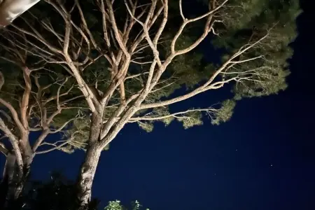 281355, Maison de vacances à Lumio avec piscine - Photo 8