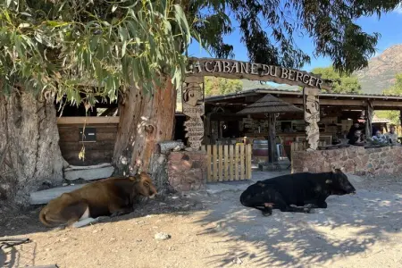281355, Maison de vacances à Lumio avec piscine - Photo 31