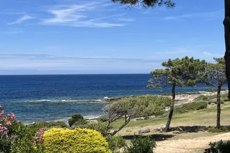 281355, Maison de vacances à Lumio avec piscine - Photo 37
