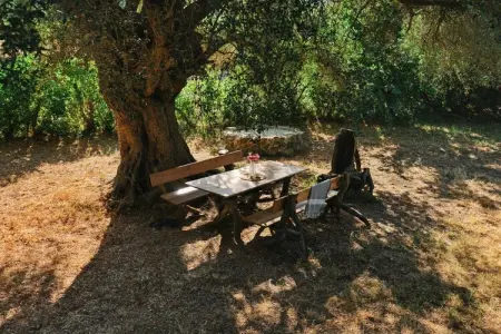 382017, Maison de vacances à Aregno avec piscine - Photo 4