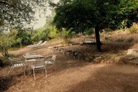 382017, Maison de vacances à Aregno avec piscine - Photo 8