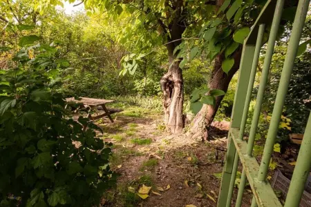 106056, Dans un endroit calme du Luberon - 219 ROU - Photo 6