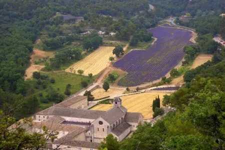 106056, Dans un endroit calme du Luberon - 219 ROU - Photo 22