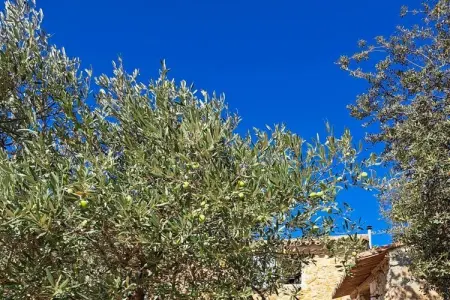 483686, Maison de vacances à Bonnieux avec piscine - Photo 10