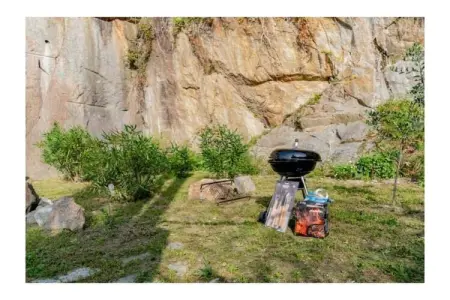 526872, Escalope de chalet vert - Photo 17