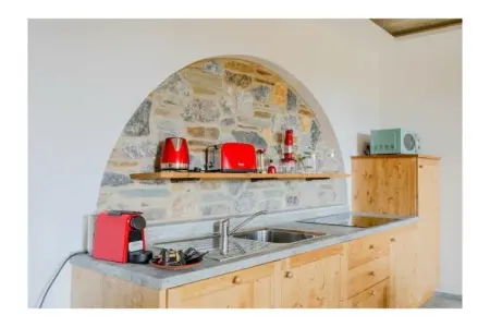 526872, Escalope de chalet vert - Photo 34