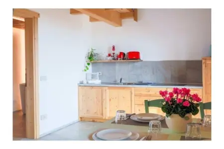 526872, Escalope de chalet vert - Photo 45