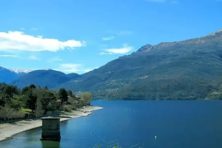 526872, Escalope de chalet vert - Photo 66