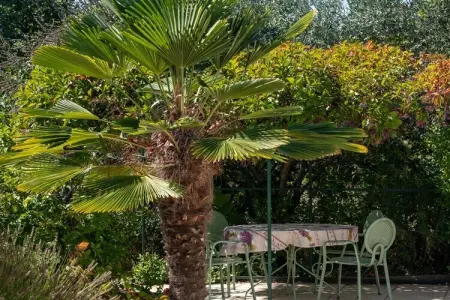 442721, Maison de vacances avec 2 chambres - Photo 4