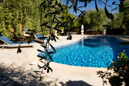 109782, Maison de vacances à Grasse avec piscine - Photo 5