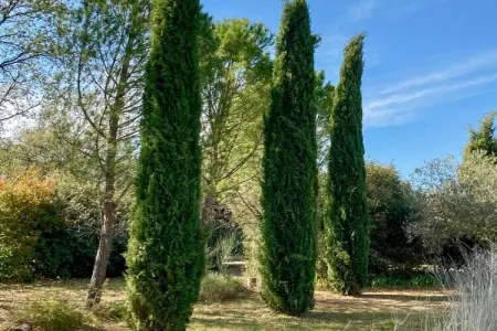 475576, Charmante maison de campagne avec piscine – 637 SAT - Photo 4