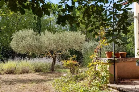 475576, Charmante maison de campagne avec piscine – 637 SAT - Photo 14